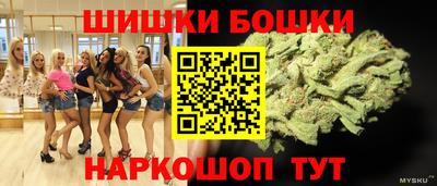 гидра Аша