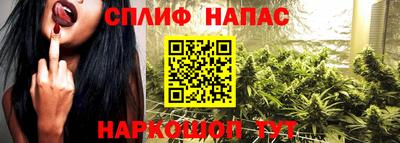 гидра Аша