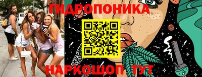 гидра Аша