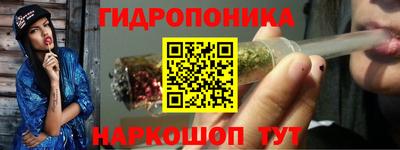 гидра Аша